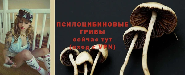 дурь Аркадак