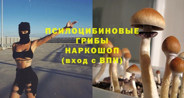 стаф Армянск