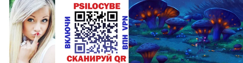 Галлюциногенные грибы Psilocybine cubensis Чистополь
