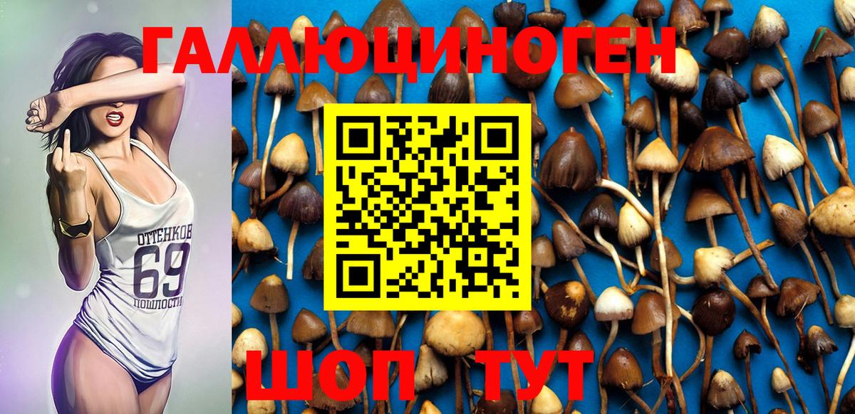 Чистополь  Псилоцибиновые грибы MAGIC MUSHROOMS  Вход с VPN 