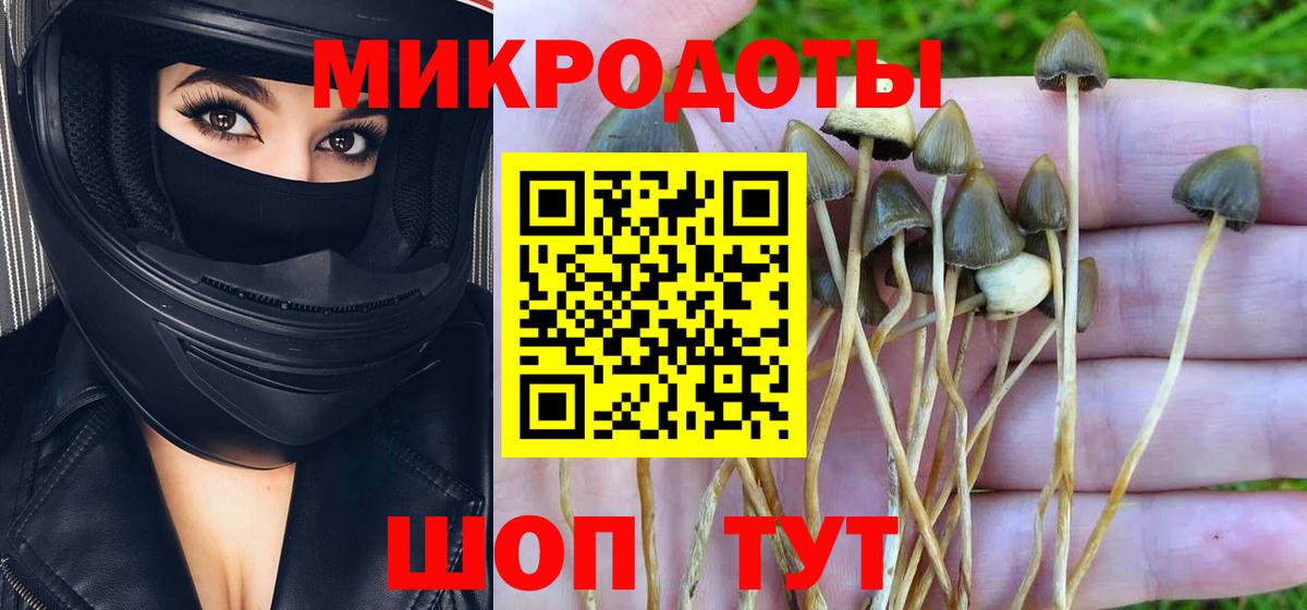 Альфа ПВП Чистополь